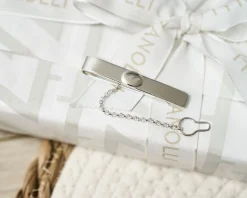 Fermacravatta argento con ovalino Selezione zanolli