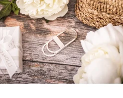 Fermasoldi ideale argento con fascia orizzontale Selezione zanolli