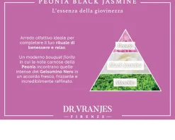 Fragranza ambiente peonia black jasmine Dr. vranjes