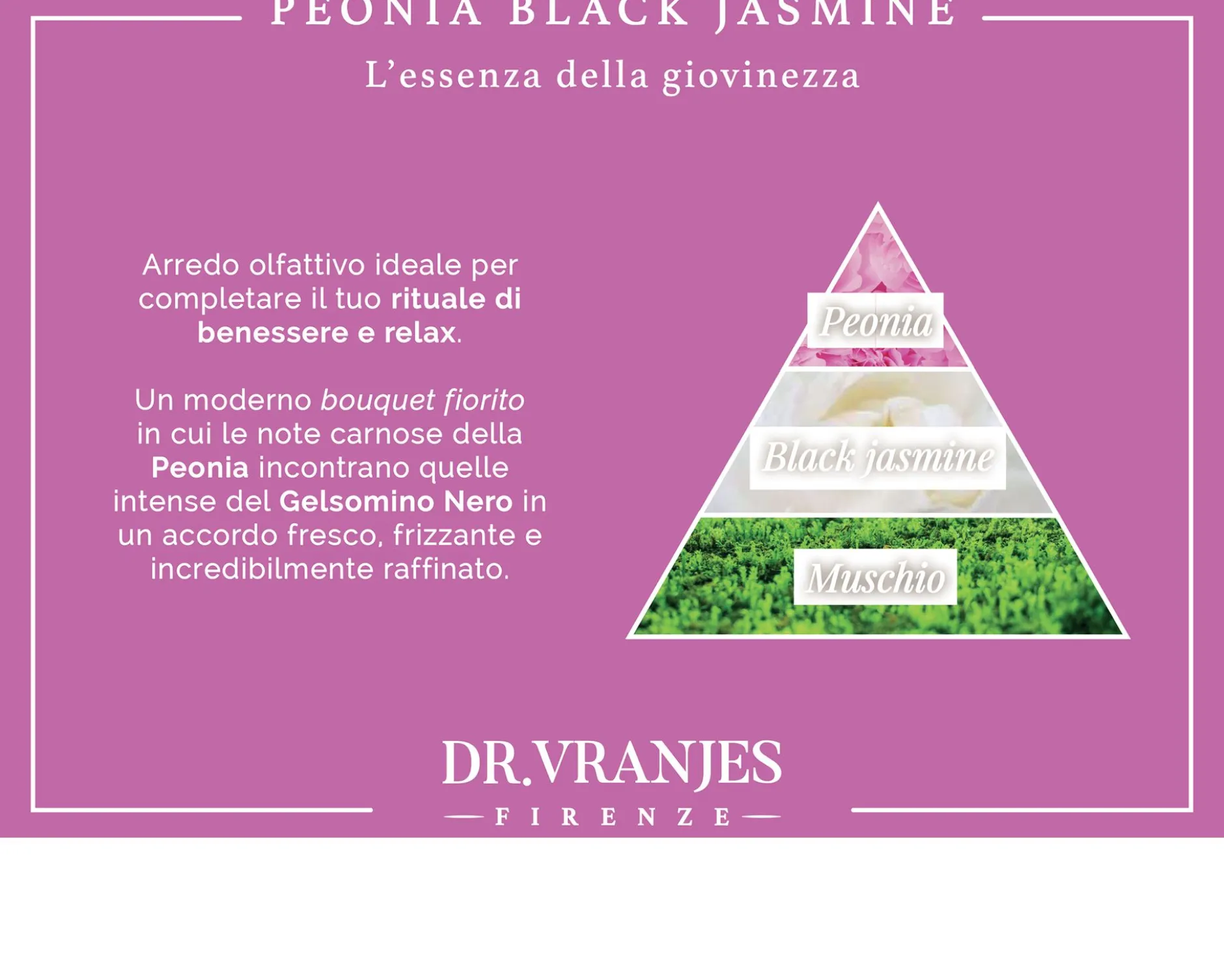 Fragranza ambiente peonia black jasmine Dr. vranjes