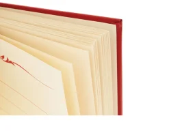 Idea regalo laurea album laurea argento pvd con cornice Selezione zanolli