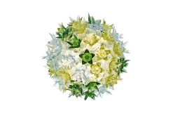 Lampada sospensione bloom menta Kartell