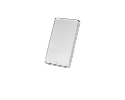 Lingotto argento 100 gr Selezione zanolli