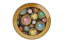 Piatto frutta madusa amplified porcellana nero Versace