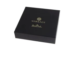 Posacenere le regne animal porcellana william Versace