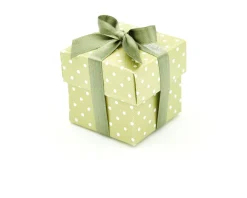 Scatola per bomboniera dots menta con coperchio e confetti Selezione zanolli