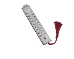 Termometro argento fiocco Selezione zanolli
