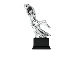 Trofeo calciatore Selezione zanolli
