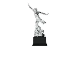 Trofeo calciatore Selezione zanolli