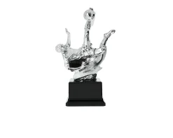 Trofeo calciatore Selezione zanolli