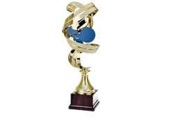 Trofeo calcio Selezione zanolli