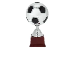 Trofeo pallone di calcio Selezione zanolli